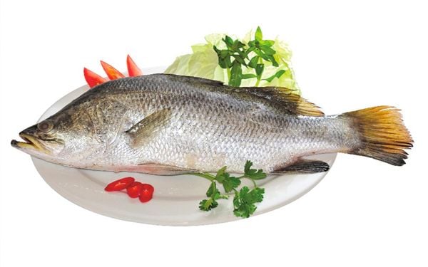 Cá Chẽm Là Cá Nước Gì?