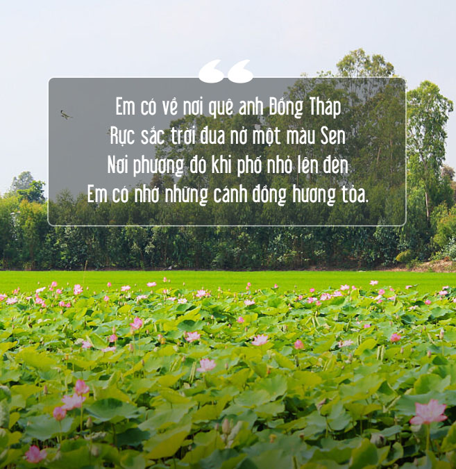 Ca Dao Đồng Tháp - Hồn Việt Nam Thắm Đượm