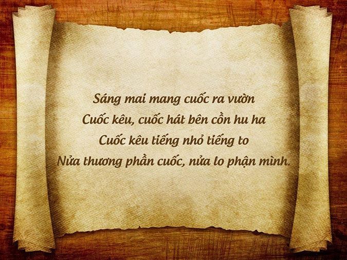 Ca Dao Than Thân Yêu Thương Tình Nghĩa
