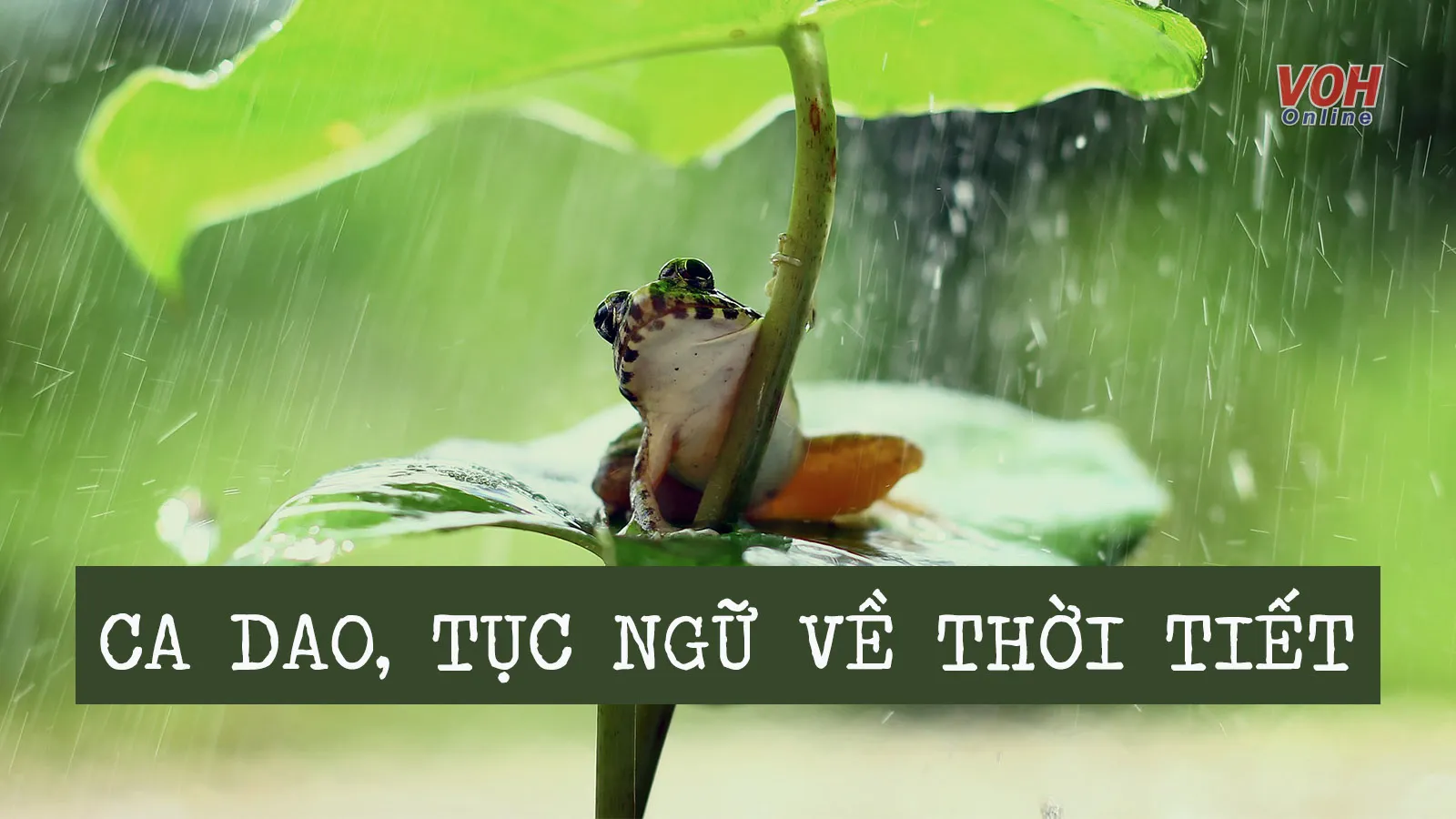 Những câu ca dao tục ngữ hay về thời tiết Gallery 2