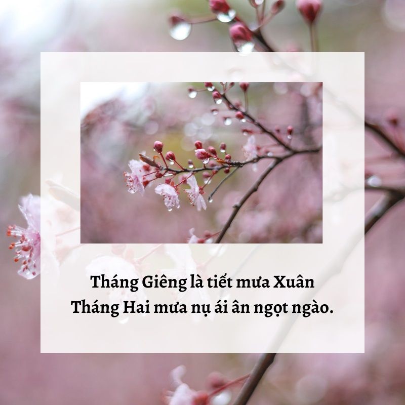 Ca Dao Hay Về Tết Và Mùa Xuân