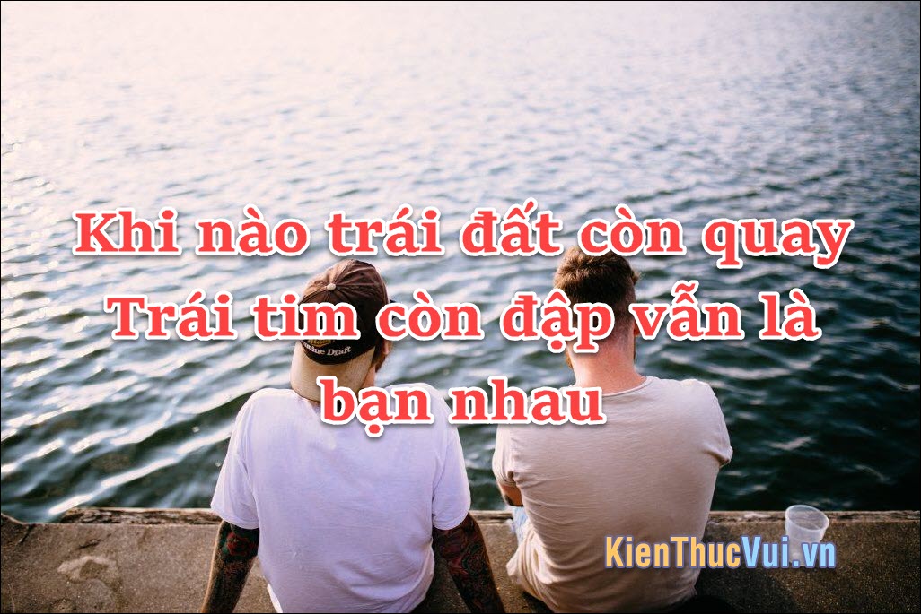 Những Câu Ca Dao Hay Về Tình Bạn Gallery 1