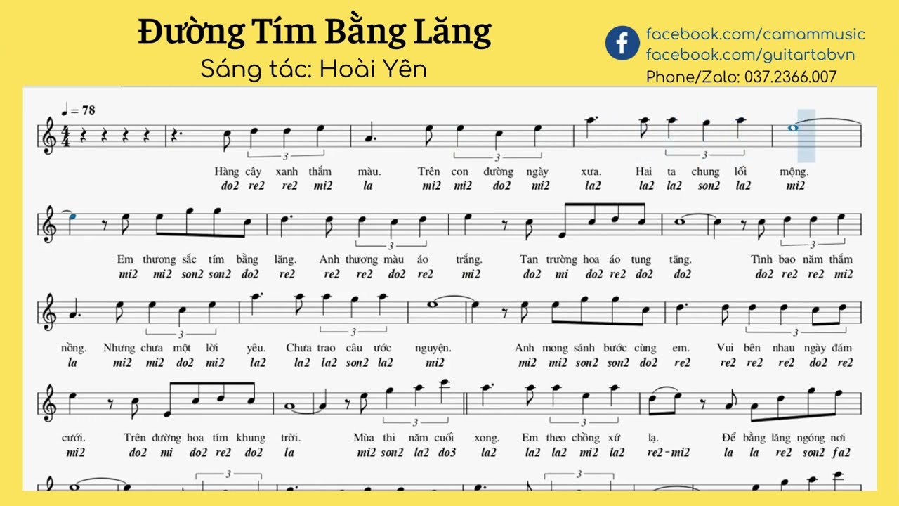 Lời Bài Hát Đường Tím Bằng Lăng Gallery 1