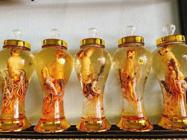 Cá Ngựa Ngâm Với Gì Thì Tốt?