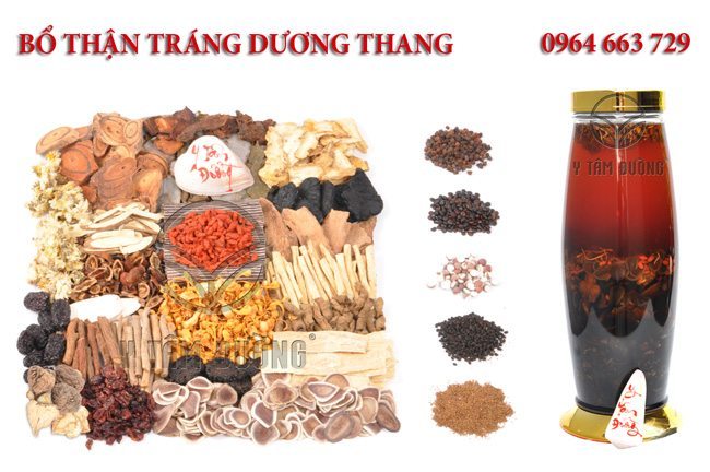 Cá Ngựa Ngâm Thuốc Bắc: Công Dụng, Cách Làm & Lưu Ý