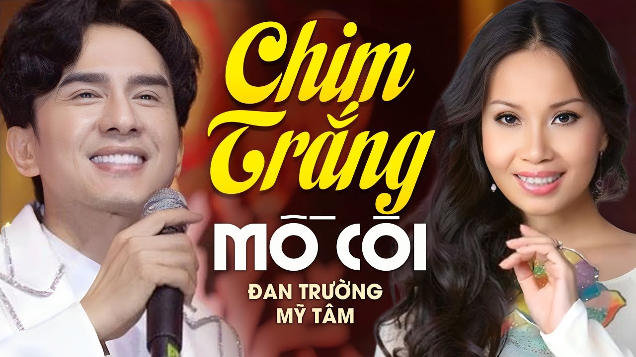 Ca Nhạc Chim Trắng Mồ Côi