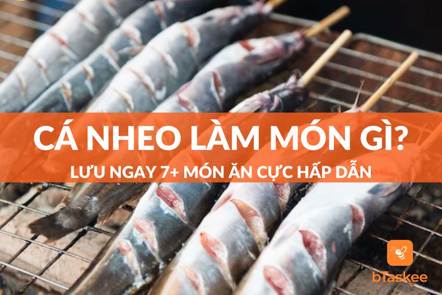 Cá Nheo Nấu Món Gì Ngon? Gallery 2