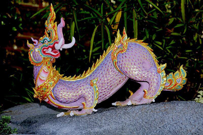 Cá Sấu Là Số Mấy? Gallery 1