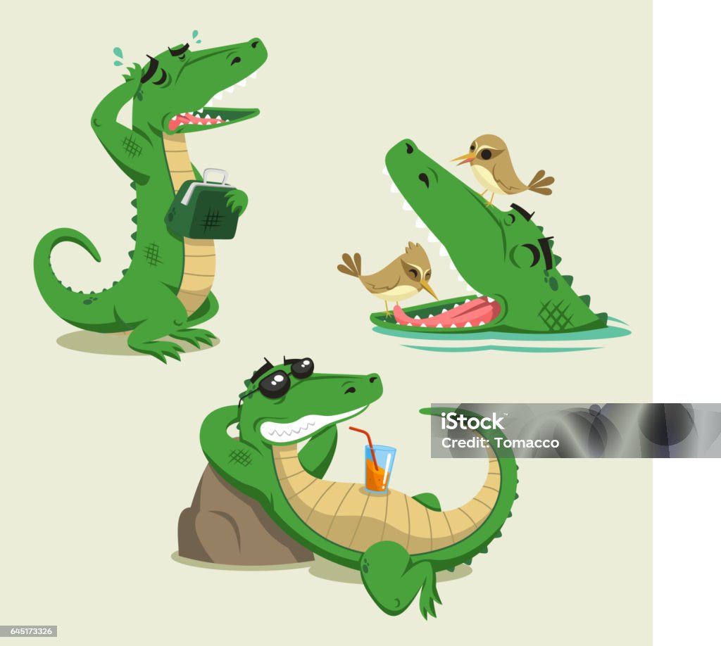 Cá Sấu Vui Vẻ Gallery 2