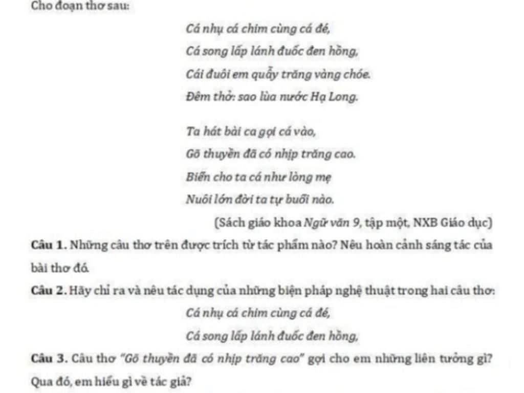 Cá Song Lấp Lánh Đuốc Đen Hồng Gallery 2
