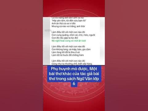 Cá Voi Trắng Ngữ Văn 6