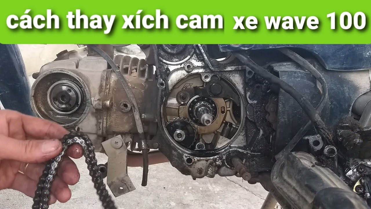 Nhận biết tiếng kêu sên cam Gallery 1