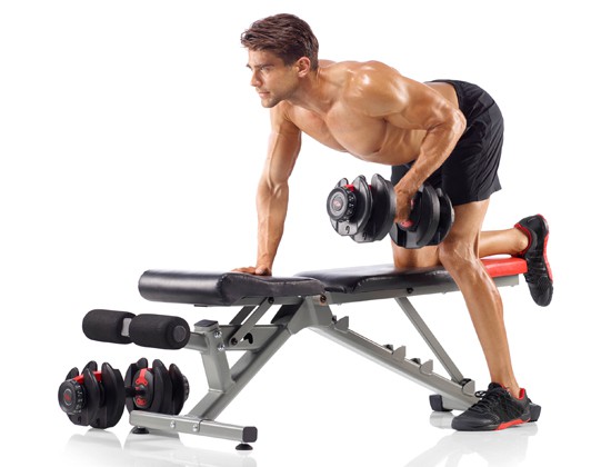 Bài tập tạ hiệu quả cho người mới bắt đầu và nâng cao