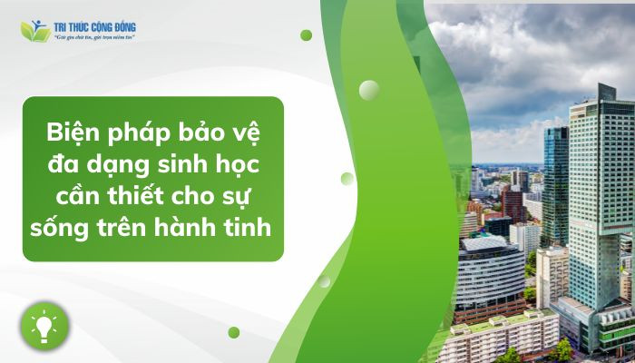 Các Biện Pháp Bảo Vệ Đa Dạng Sinh Học Hiệu Quả