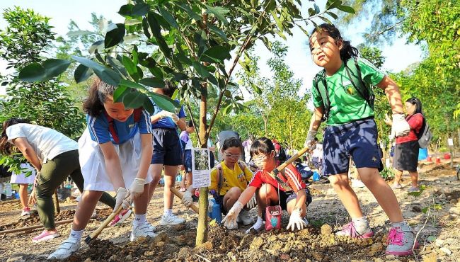 Các Biện Pháp Bảo Vệ Môi Trường Của Học Sinh