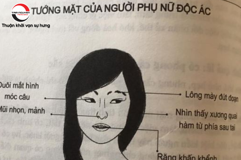 Gian xảo là gì? Gallery 1