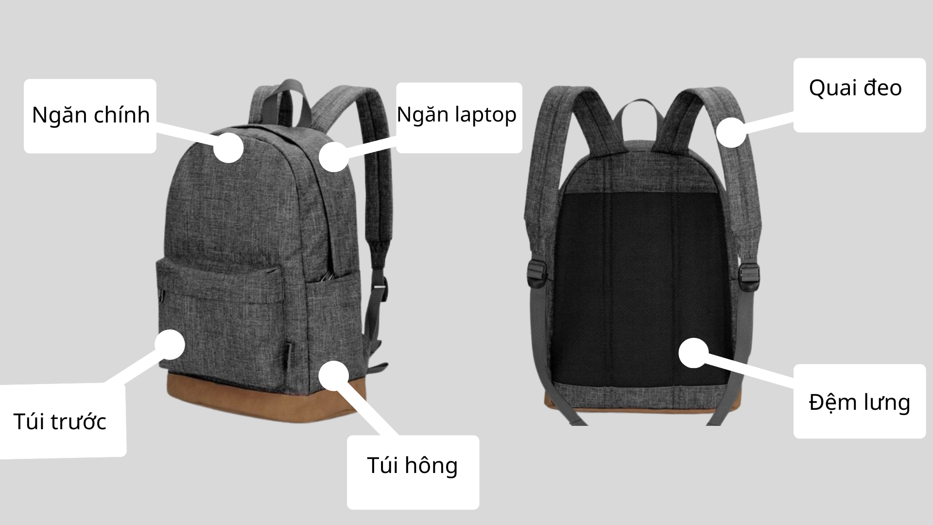 Cấu tạo của chiếc cặp sách Gallery 1