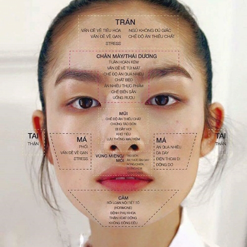 Các Bộ Phận Trên Khuôn Mặt