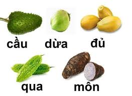 Cầu Dừa Đủ Qua Môn: Bí Quyết Thành Công Gallery 1