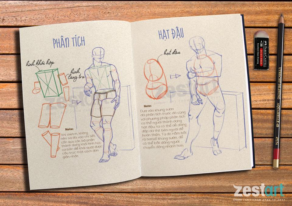 Kí họa dáng người: Hướng dẫn và kỹ thuật cơ bản Gallery 1