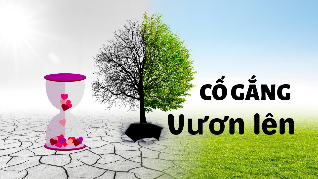 Cố Gắng Vươn Lên: Bí Quyết Thành Công Gallery 2