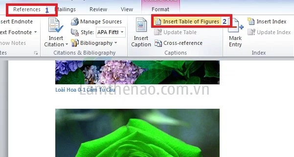 Cách Ghi Chú Thích Dưới Ảnh trong PowerPoint Gallery 1