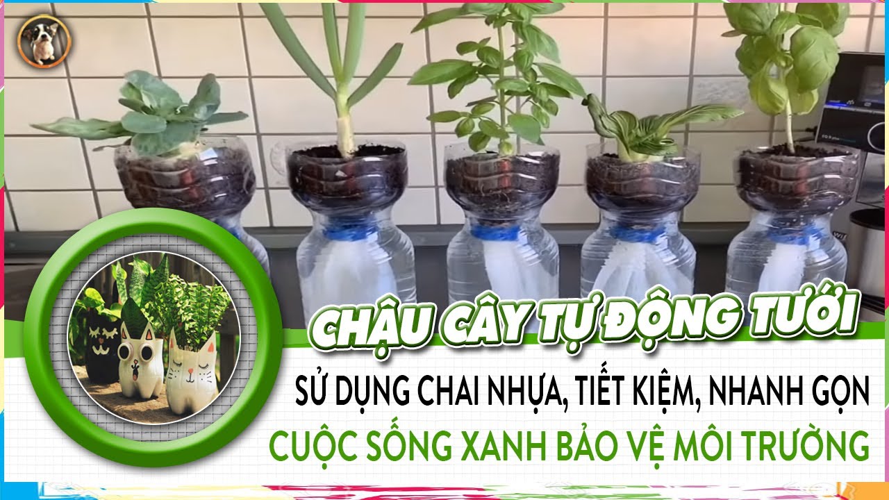 Cây Chỉa Tự Chế: Hướng Dẫn Chi Tiết và Mẹo Hay Gallery 2