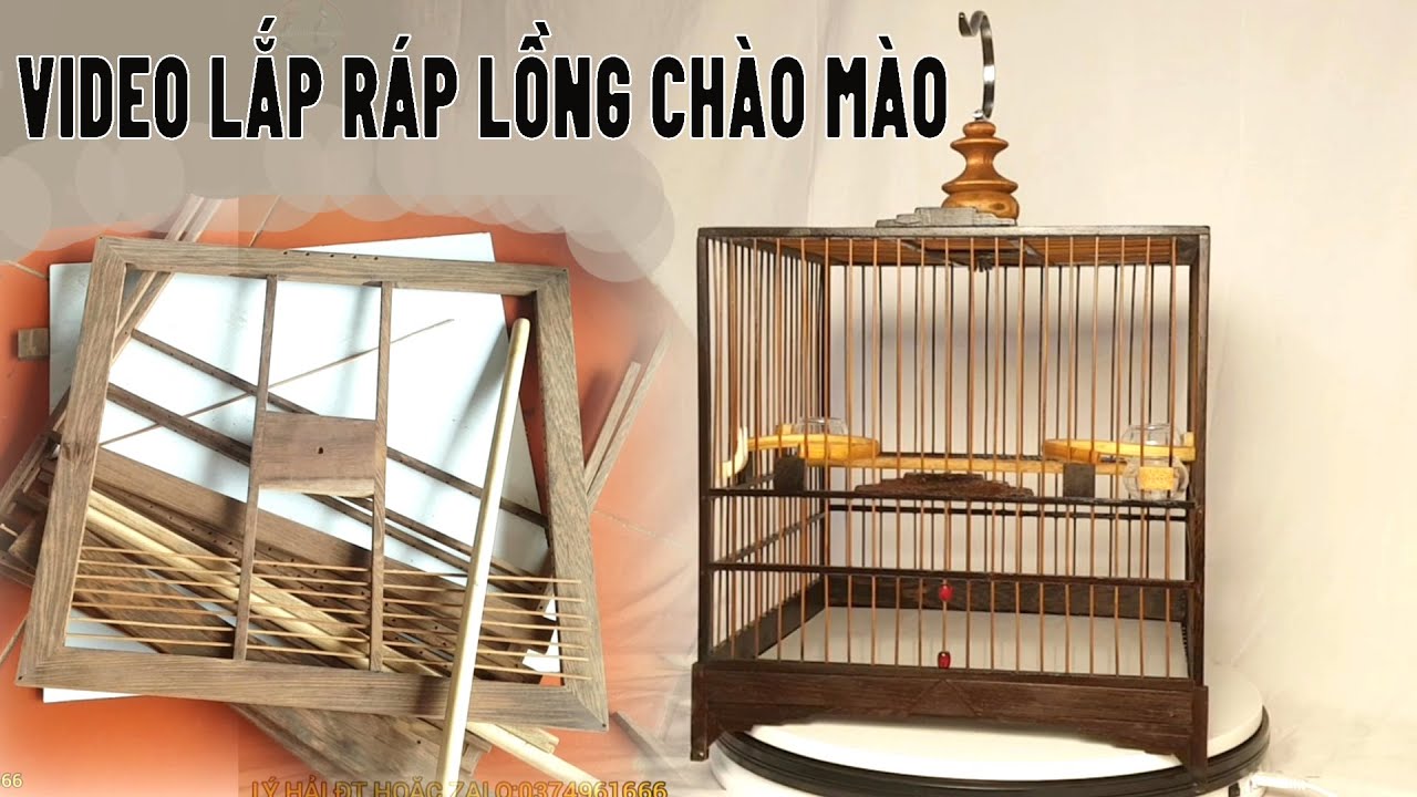 Lồng Chim Tự Ráp: Hướng Dẫn Chi Tiết & Mẫu Đẹp Gallery 2
