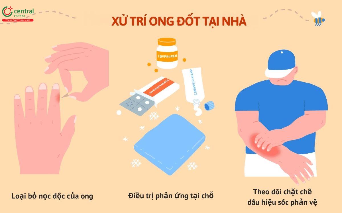 Bị ong đốt làm thế nào? Gallery 1