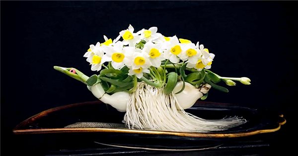 Soạn Thủy Tiên Tháng Một Gallery 2