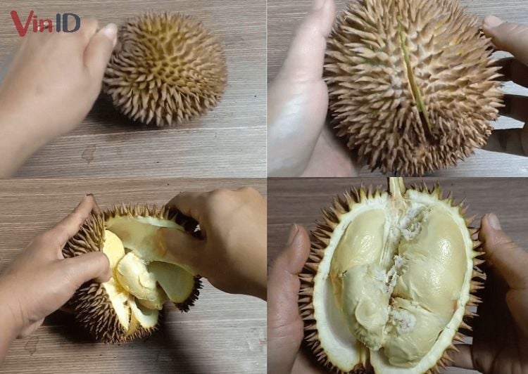Cách Tách Sầu Riêng Đơn Giản, Nhanh Chóng Và An Toàn Gallery 2