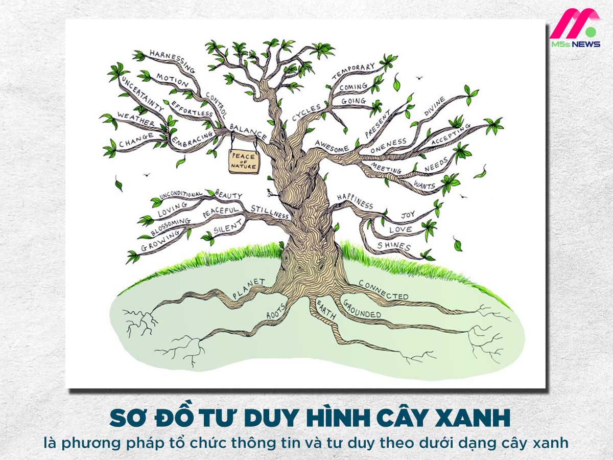 Sáng tạo sơ đồ tư duy hình cây xanh Gallery 2