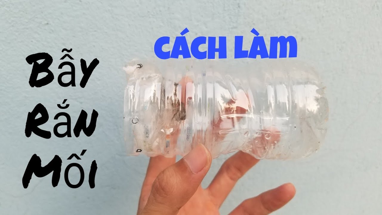 Cách Bẫy Rắn Đơn Giản Nhất Gallery 1