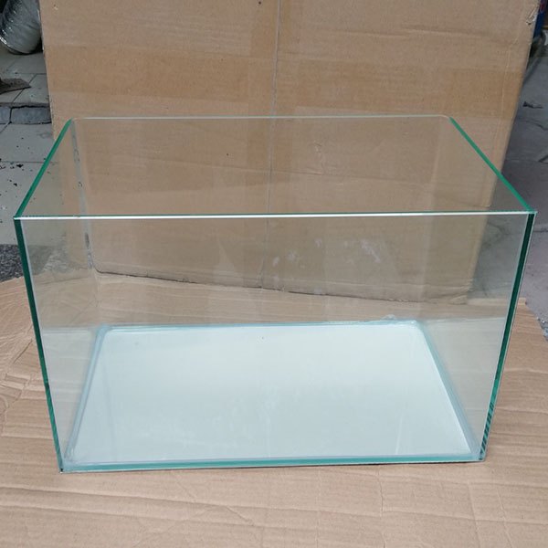 Cách Làm Hồ Cá Bằng Kính Gallery 2