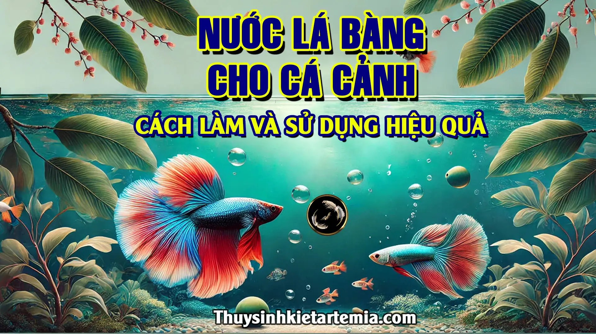 Cách Làm Nước Lá Bàng Cho Cá Gallery 2