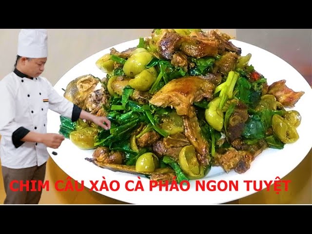 Chim Câu Xào Cà Gallery 2