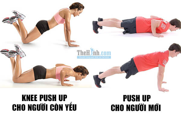 Cách Hít Đất Cho Người Mập Gallery 2