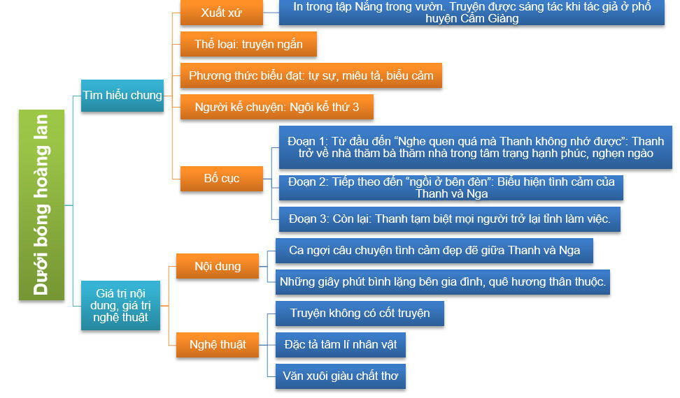 Sơ Đồ Tư Duy Dưới Bóng Hoàng Lan Gallery 2