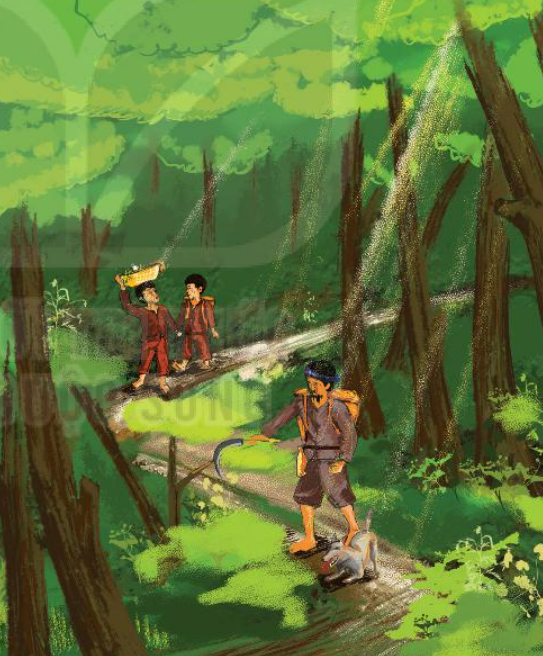 Soạn Đi Lấy Mật: Hướng Dẫn Chi Tiết và Kinh Nghiệm Gallery 2