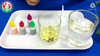Thí nghiệm mưa cầu vồng: Tạo ra hiện tượng thiên nhiên tuyệt đẹp tại nhà Gallery 2