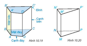 Cách tính chu vi đáy hình lăng trụ đứng Gallery 1