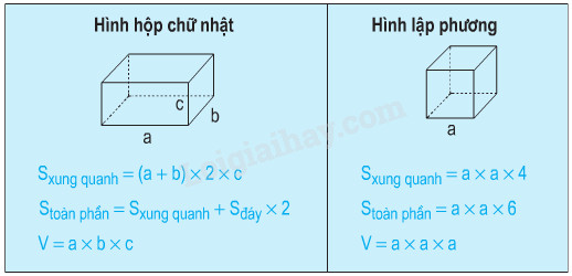 Diện tích toàn phần hình hộp chữ nhật lớp 5 Gallery 2