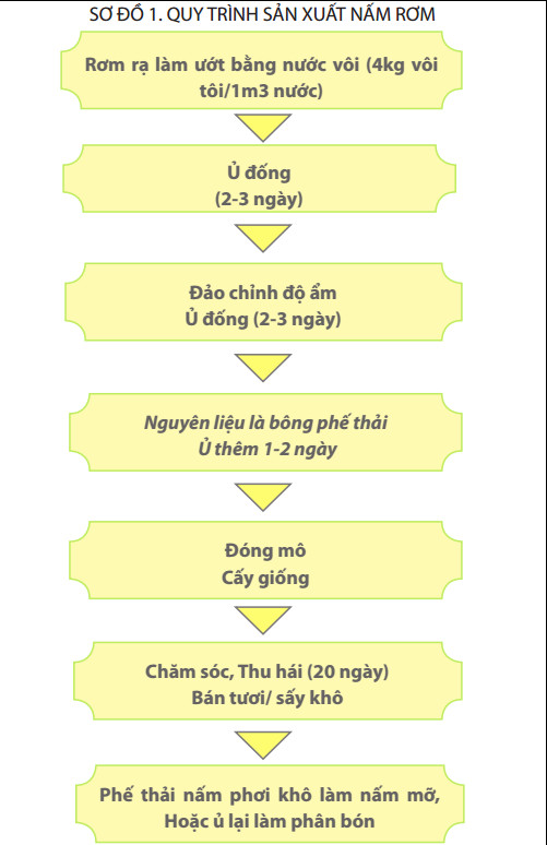 Cách Trồng Nấm Rơm Hiệu Quả Tại Nhà Gallery 2