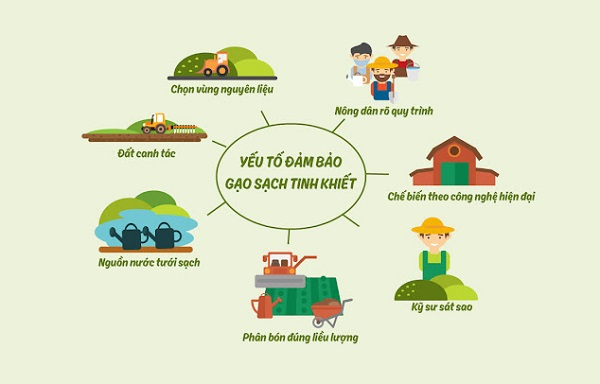 Sát Gạo Là Gì? Hướng Dẫn Chi Tiết Về Quá Trình Sát Gạo Gallery 1