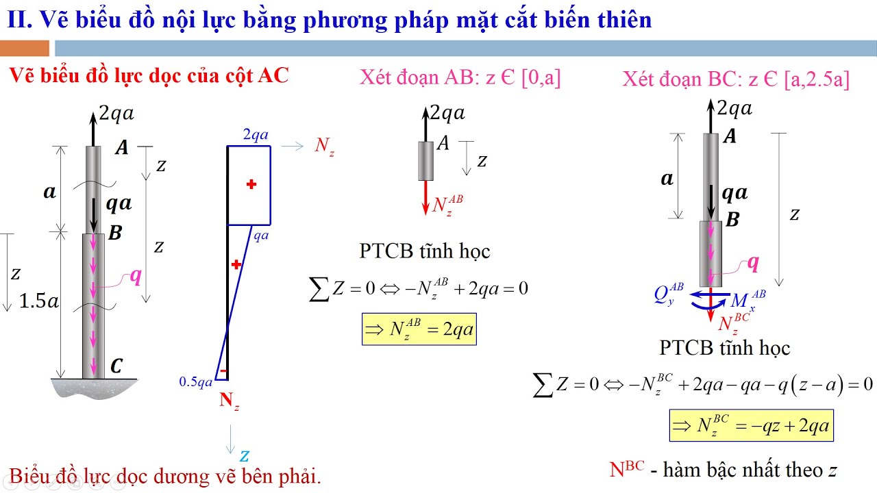 Vẽ Biểu Đồ Lực Dọc Gallery 1