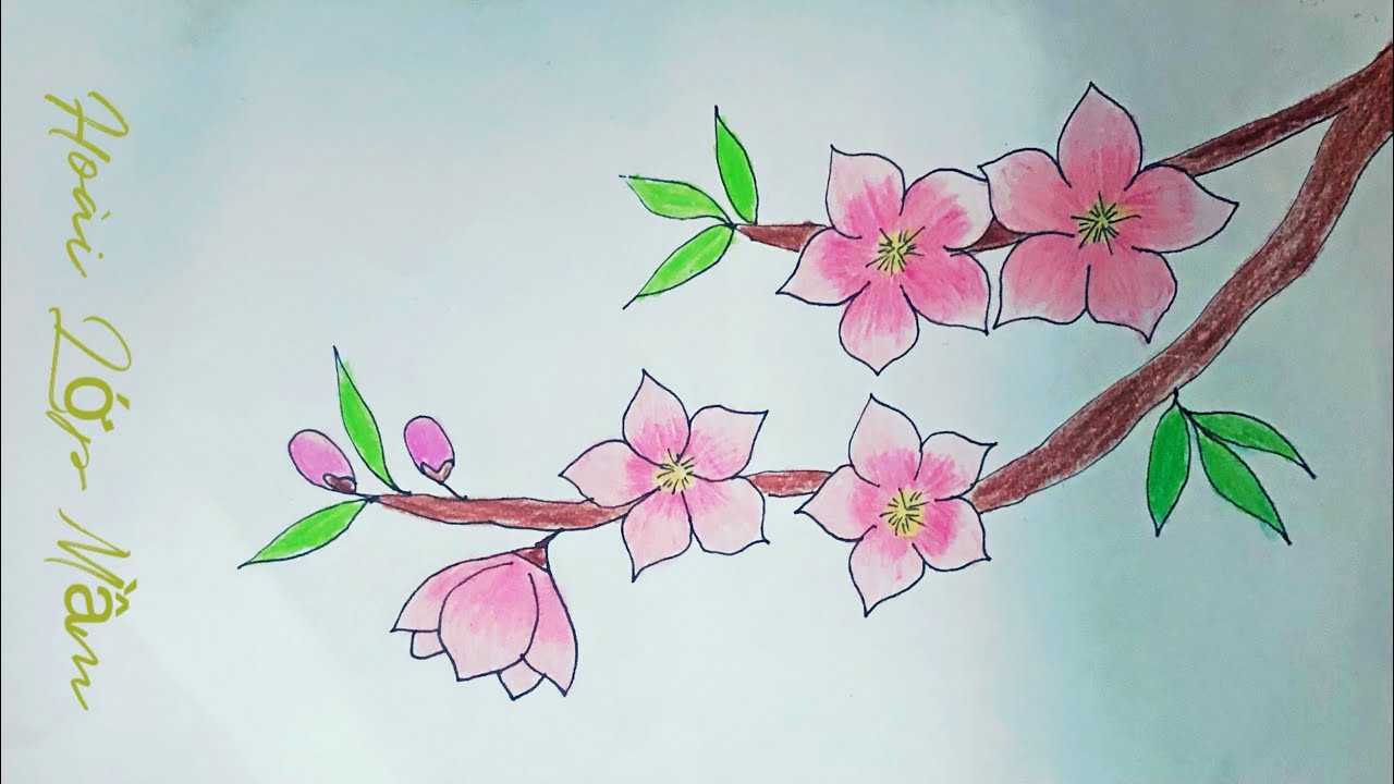 Cách Vẽ Cành Đào Gallery 2