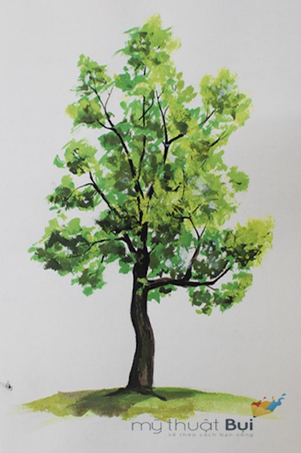Cách Vẽ Cây Xanh Đơn Giản và Đẹp Mắt Gallery 1