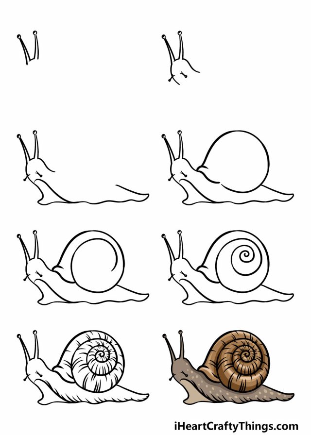Cách Vẽ Con Ốc Sên Gallery 2