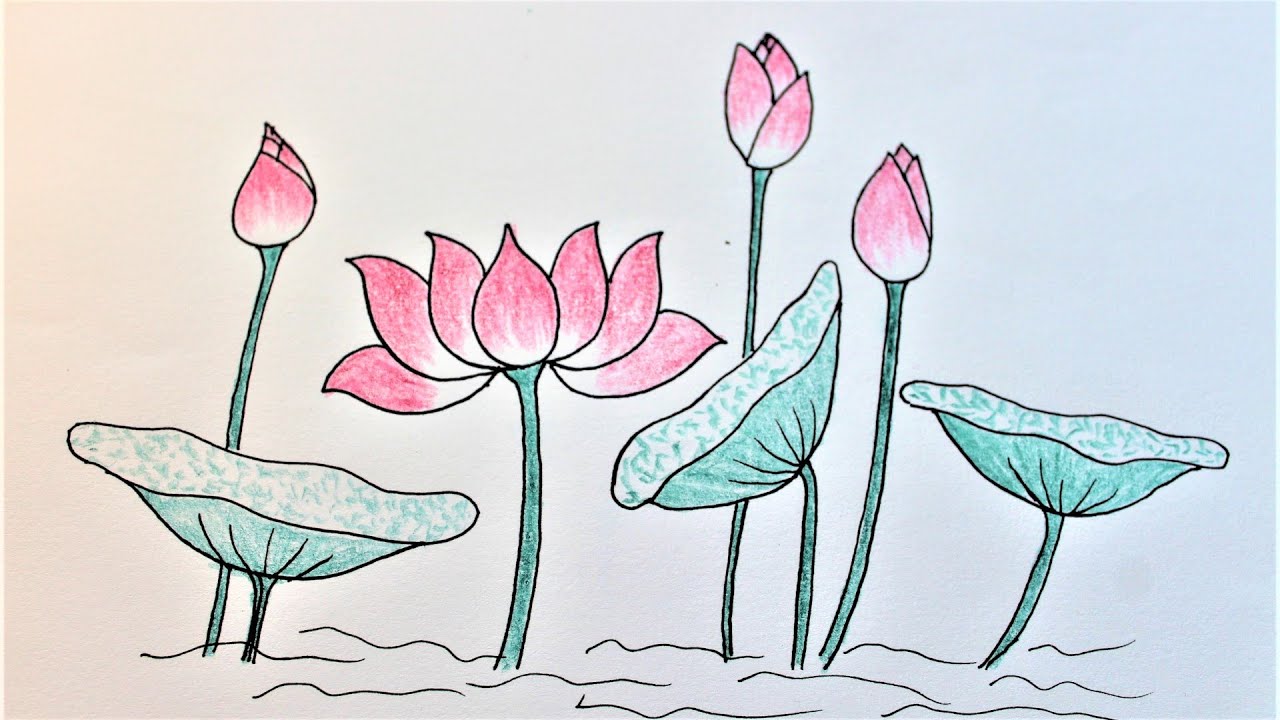 Cách Vẽ Đầm Sen Gallery 2