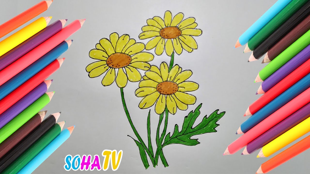 Vẽ Hoa Cúc Vàng Gallery 2